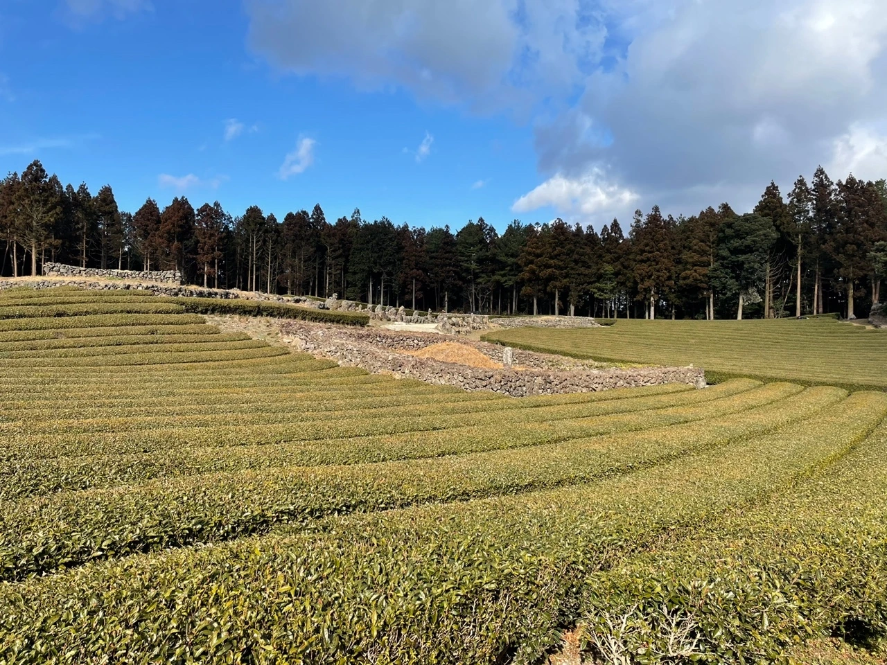 KakaoTalk_Photo_2022-02-07-13-32-53 020.jpeg