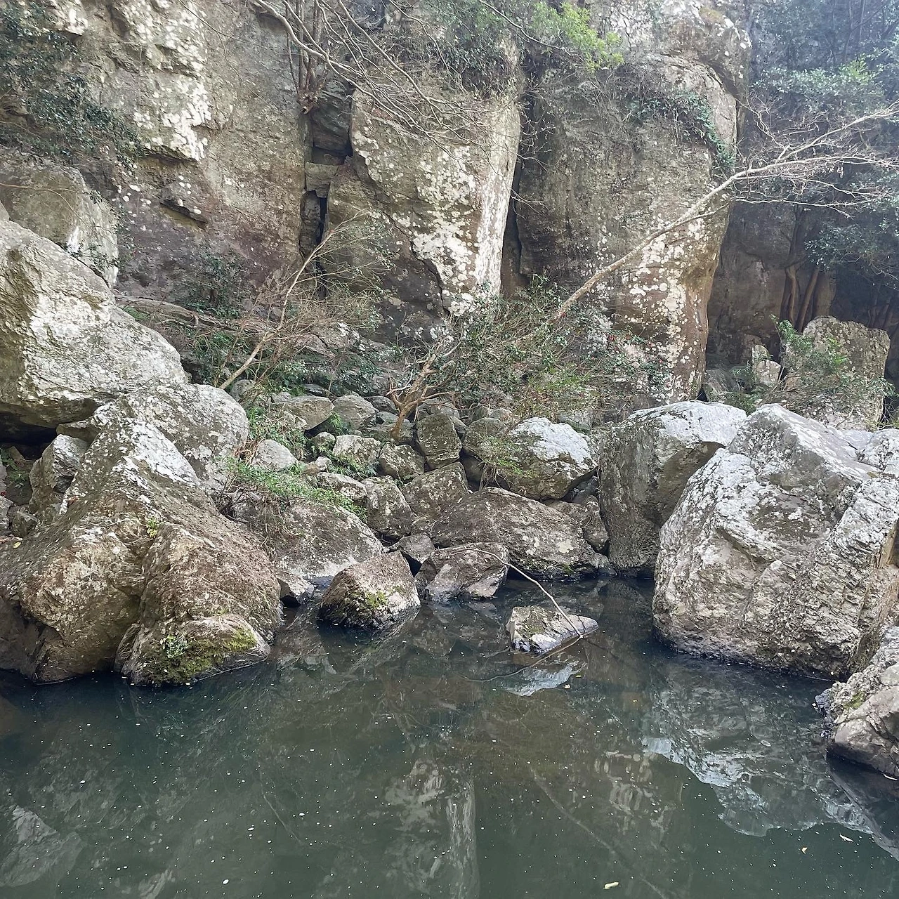 KakaoTalk_Photo_2022-04-06-08-20-13 010.jpeg