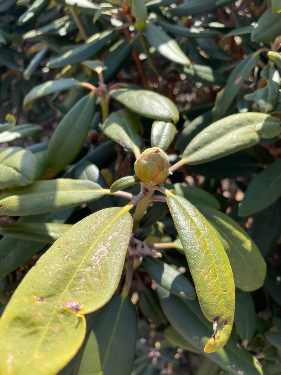 KakaoTalk_Photo_2022-02-07-14-31-30 018.jpeg