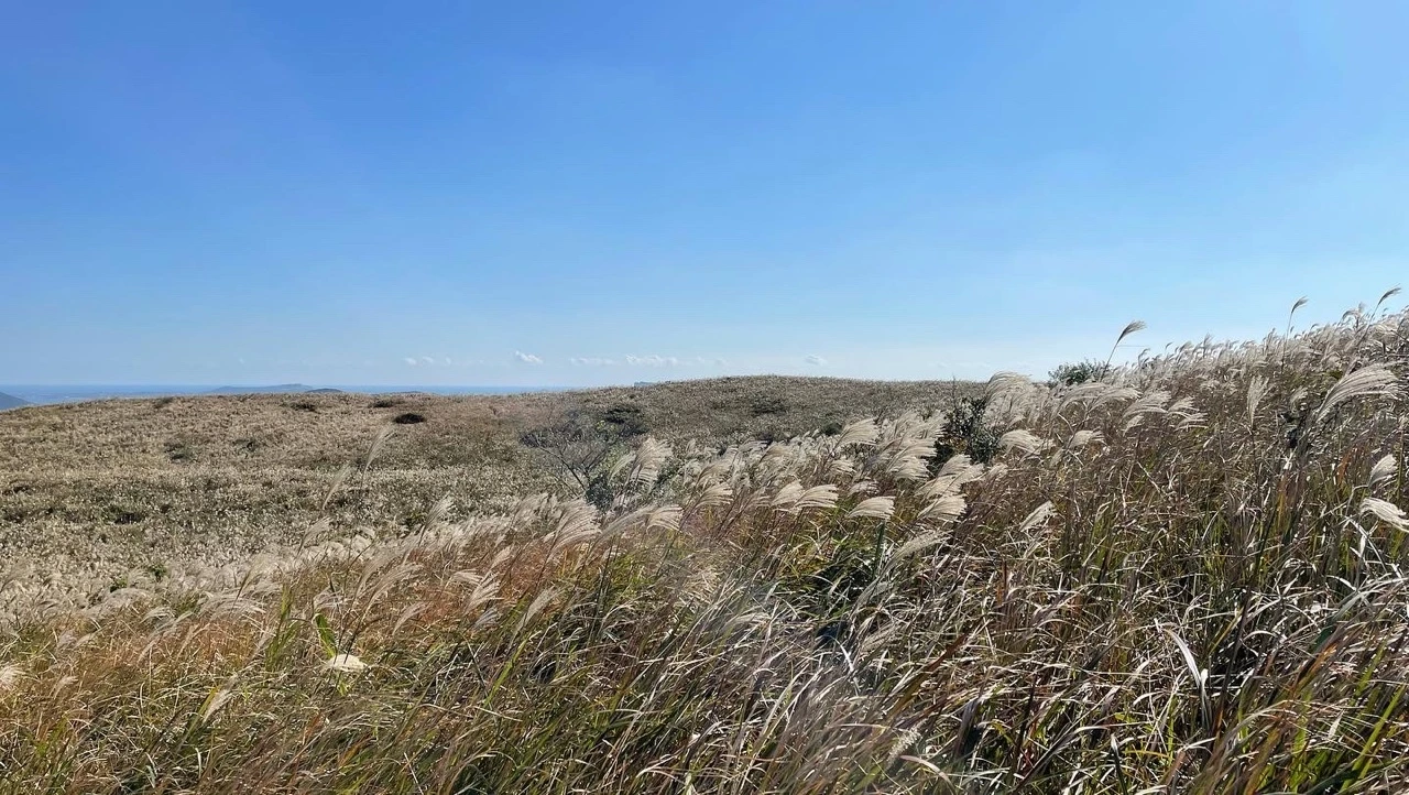 KakaoTalk_Photo_2021-11-01-09-01-29 015.jpeg