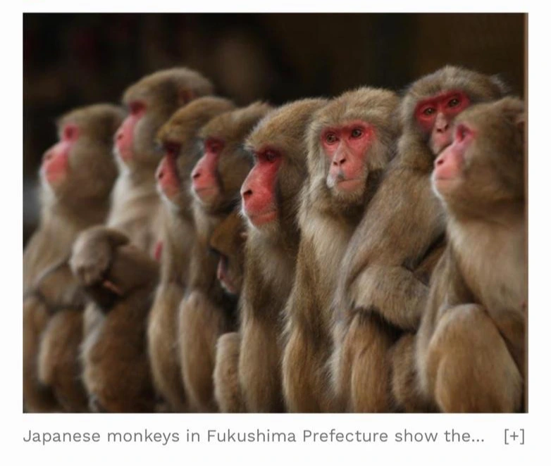 KakaoTalk_Photo_2022-05-20-09-13-51 004.jpeg