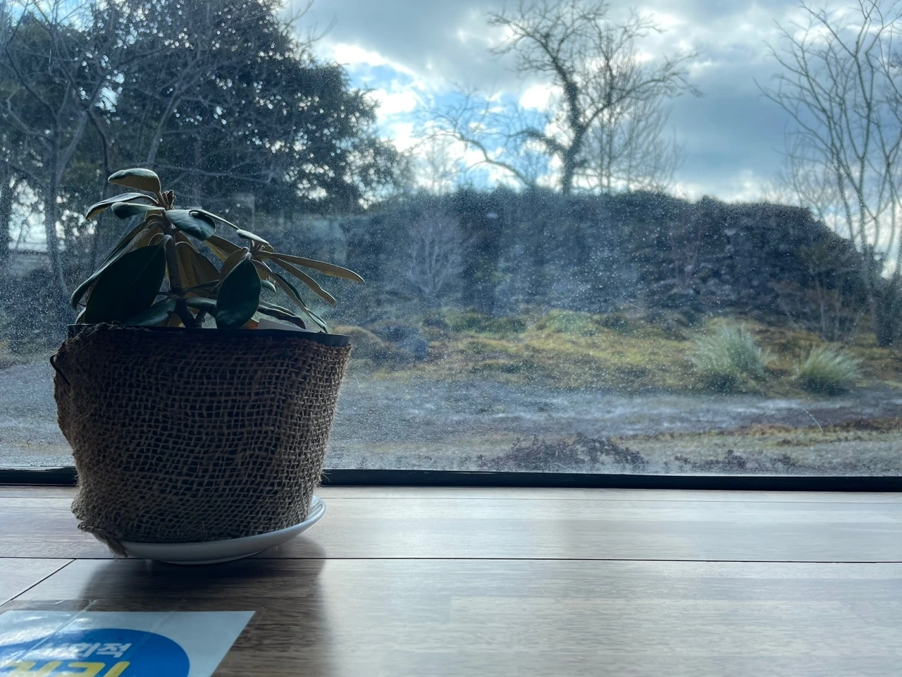 KakaoTalk_Photo_2022-02-07-14-31-26 005.jpeg