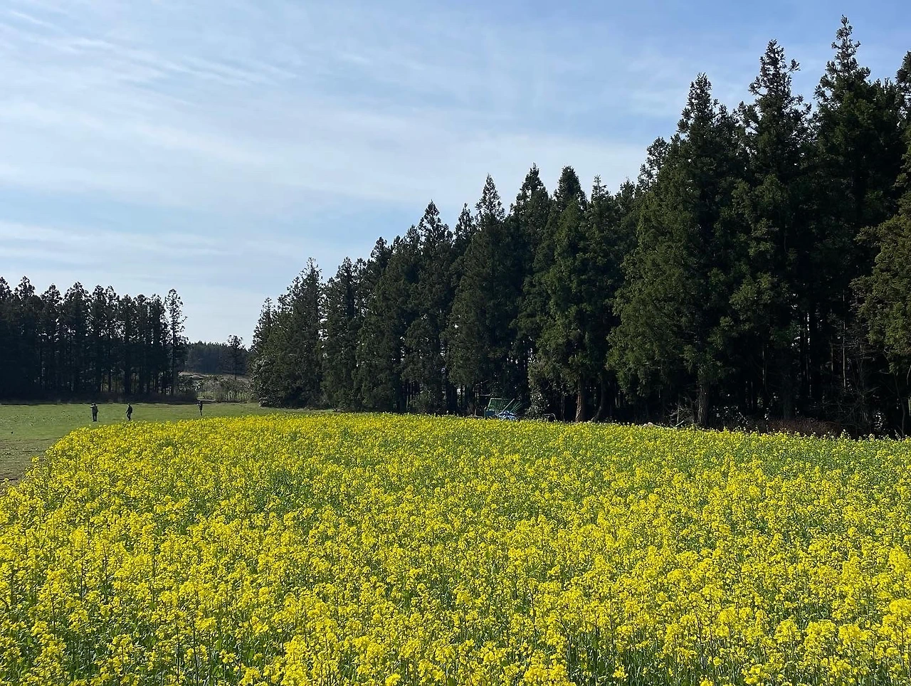 KakaoTalk_Photo_2022-04-06-08-21-13 020.jpeg