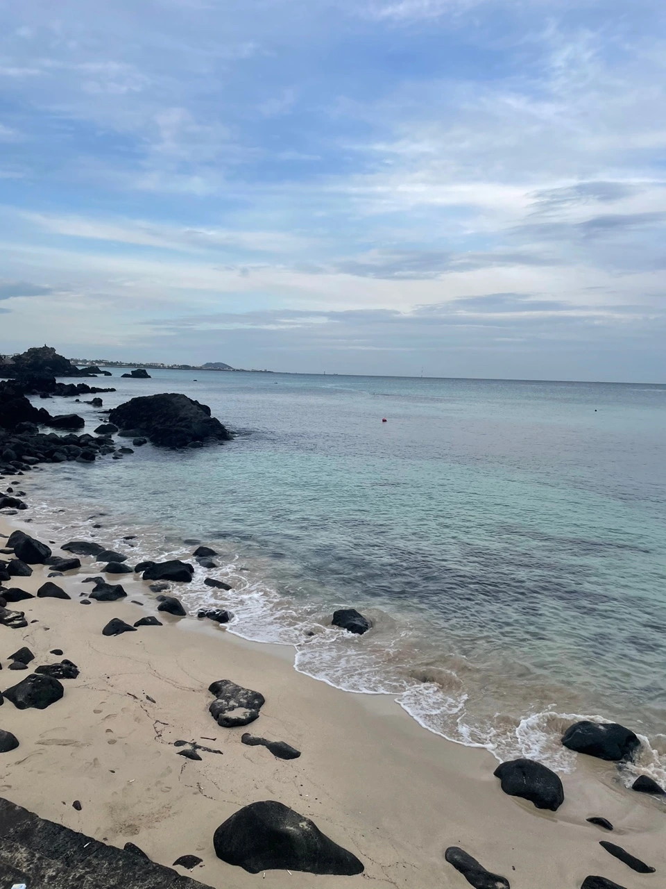 KakaoTalk_Photo_2021-11-01-09-00-29 025.jpeg