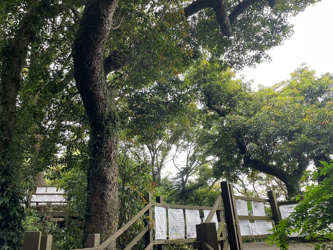 KakaoTalk_Photo_2022-05-30-08-49-43 024.jpeg