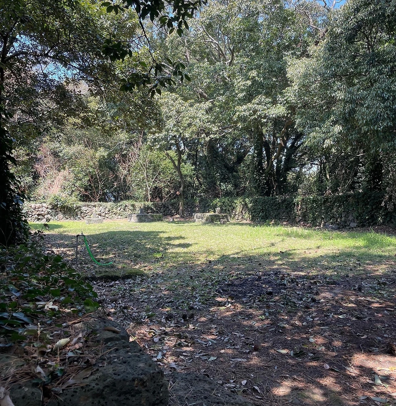 KakaoTalk_Photo_2022-04-06-08-20-15 013.jpeg