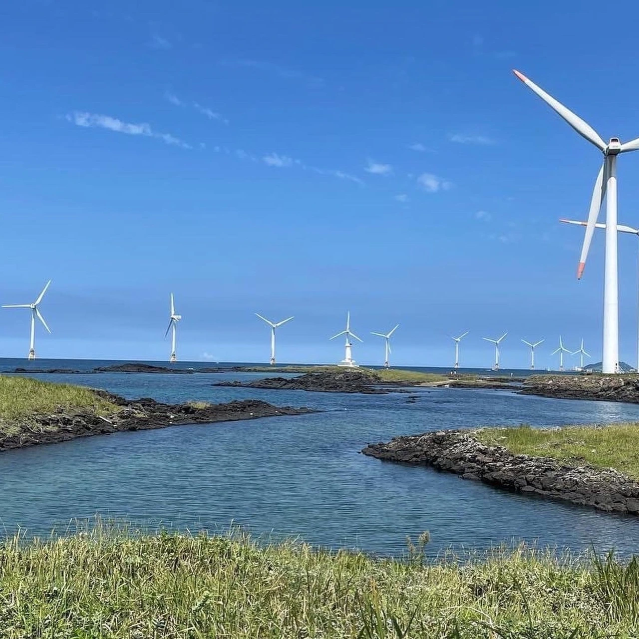 KakaoTalk_Photo_2021-11-01-08-33-39 003.jpeg