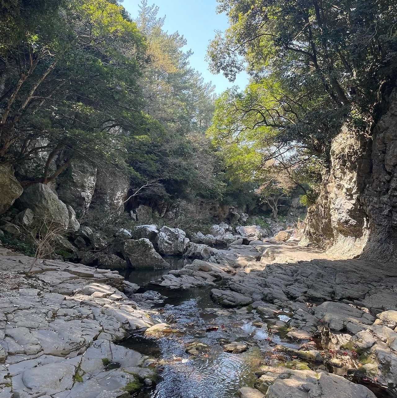 KakaoTalk_Photo_2022-04-06-08-20-13 009.jpeg