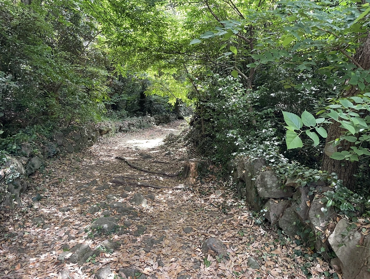 KakaoTalk_Photo_2022-05-30-08-47-03 003.jpeg