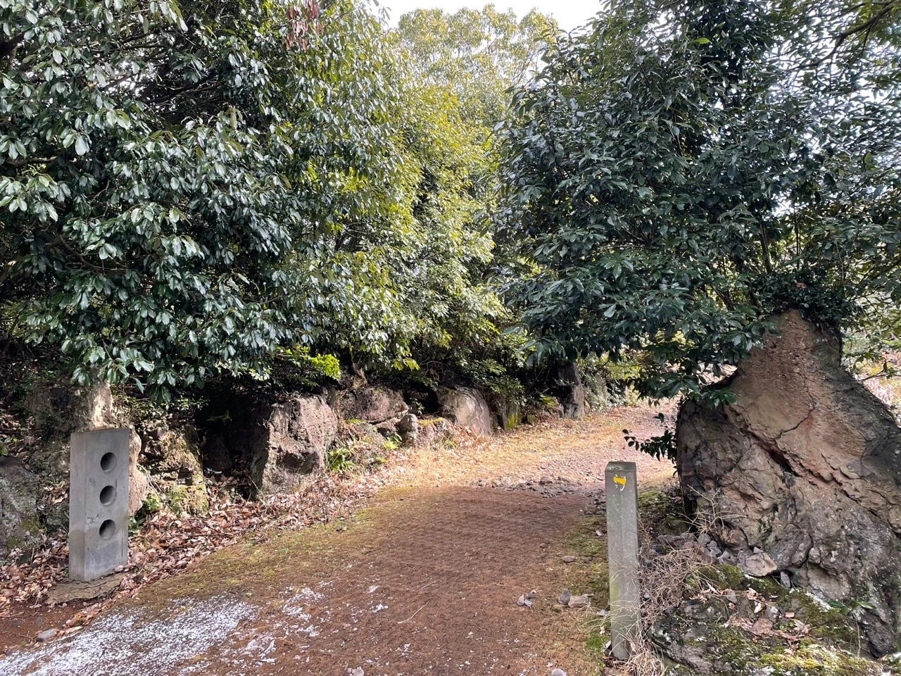 KakaoTalk_Photo_2022-02-07-13-32-50 016.jpeg