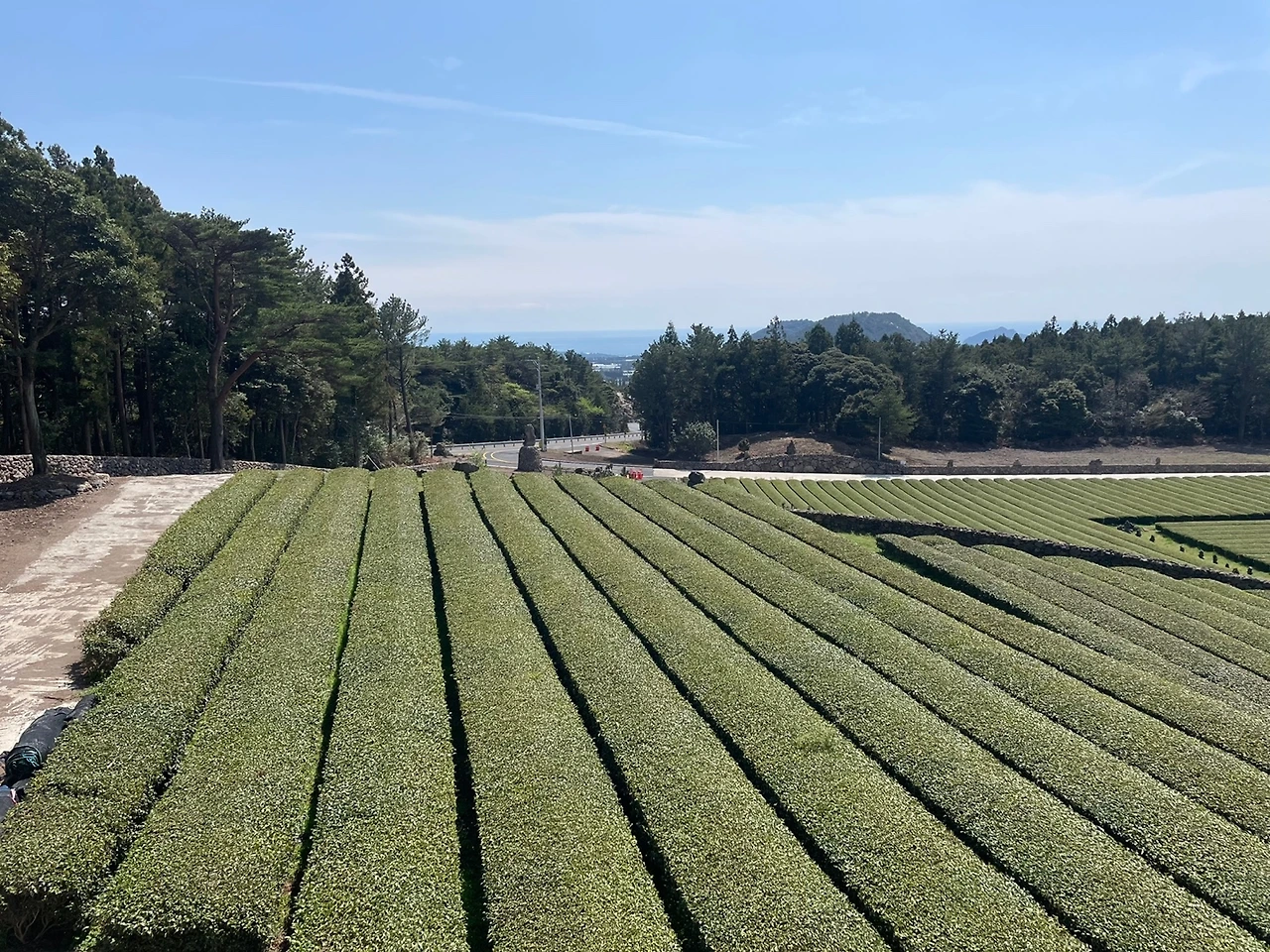 KakaoTalk_Photo_2022-04-06-08-21-15 025.jpeg