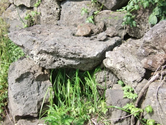 올레 04 팡돌.jpeg