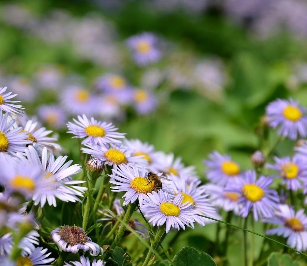 KakaoTalk_Photo_2021-10-29-03-17-46 001.jpeg