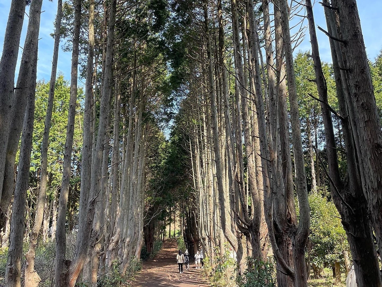 KakaoTalk_Photo_2022-04-06-08-21-13 018.jpeg