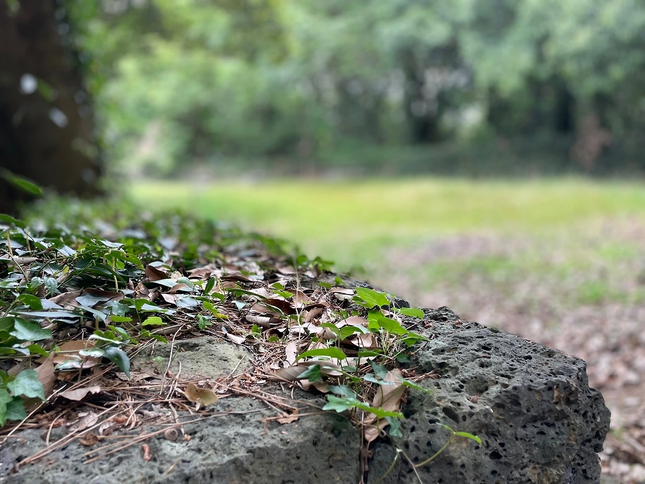 KakaoTalk_Photo_2022-05-30-08-50-17 028.jpeg