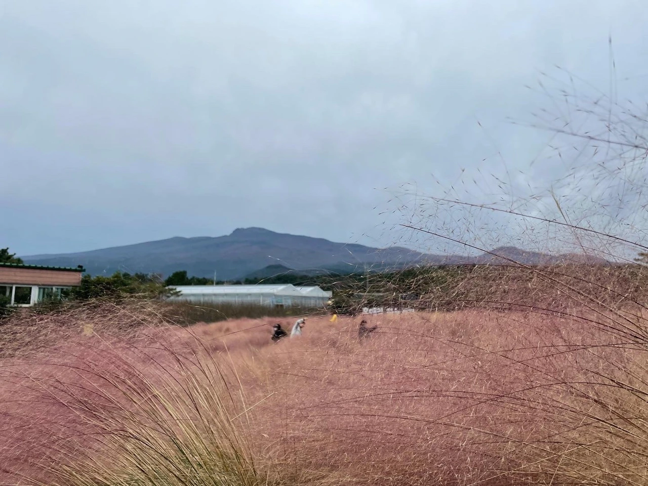 KakaoTalk_Photo_2021-11-01-09-00-52 008.jpeg