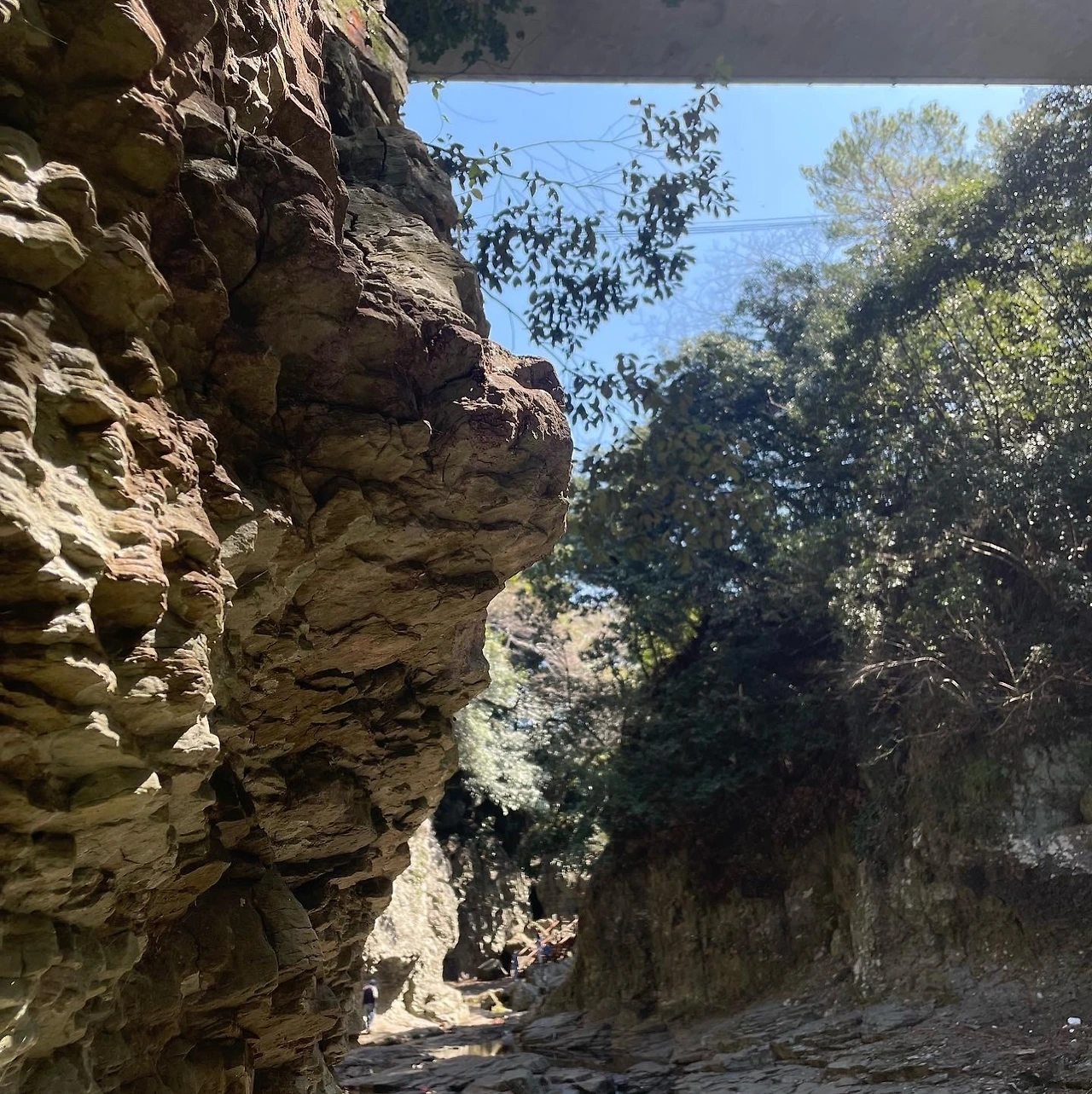 KakaoTalk_Photo_2022-04-06-08-20-14 012.jpeg