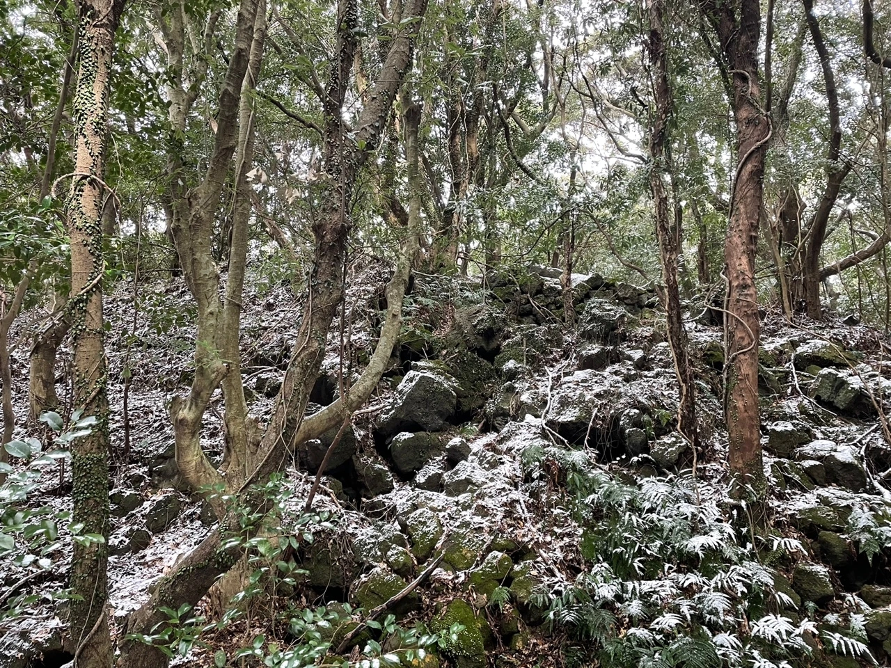 KakaoTalk_Photo_2022-02-07-13-32-47 010.jpeg