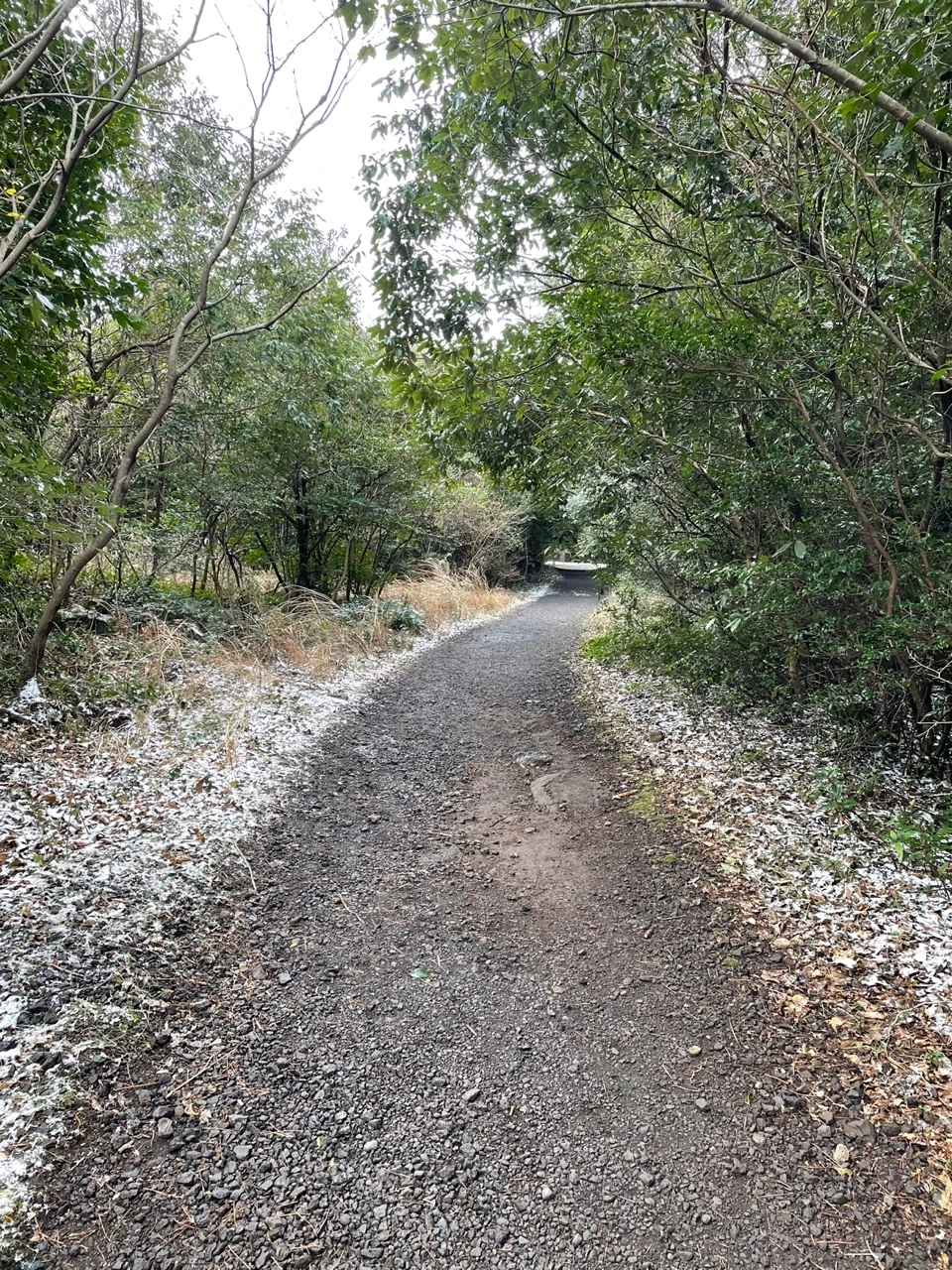 KakaoTalk_Photo_2022-02-07-13-32-51 017.jpeg