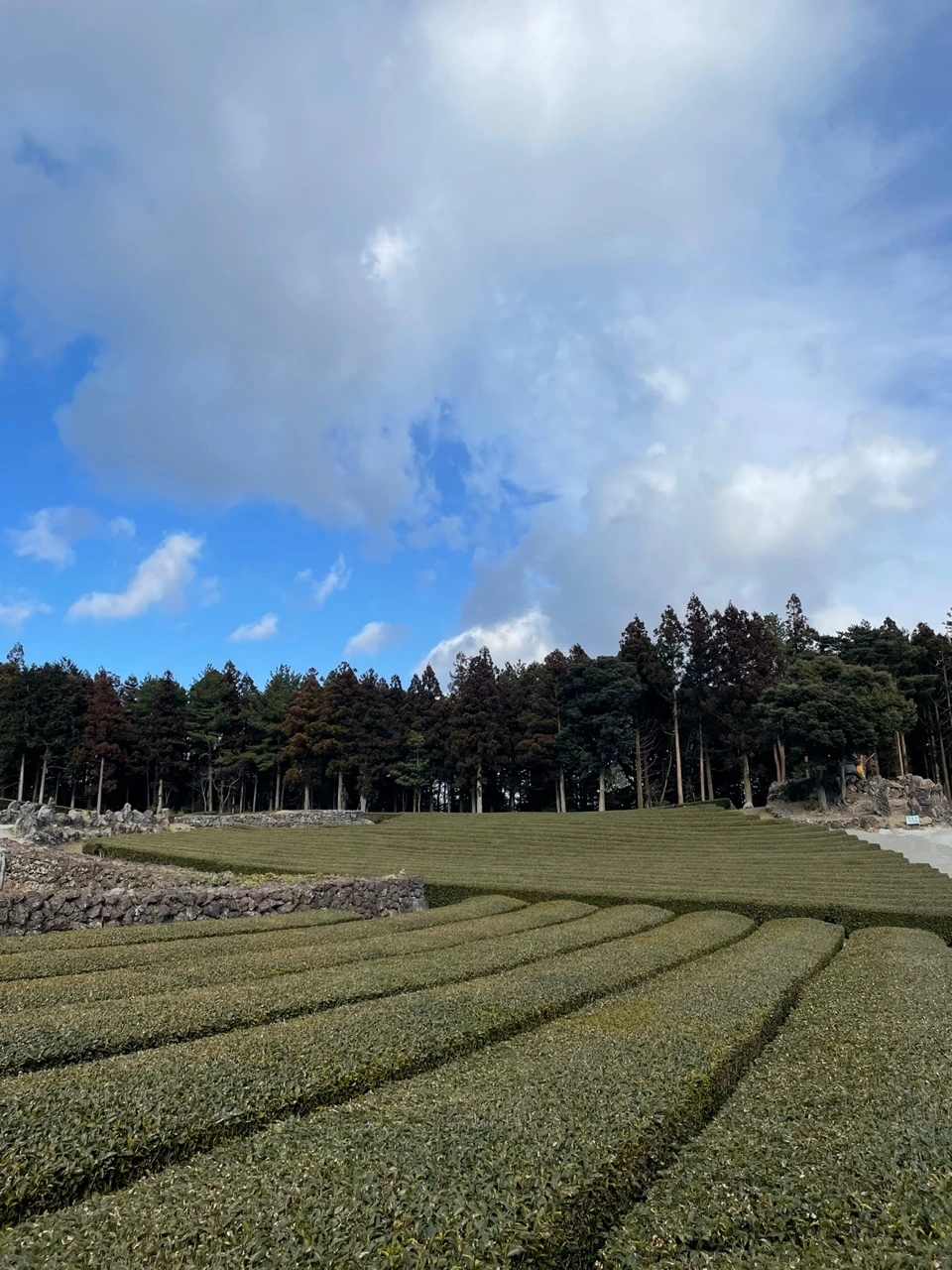 KakaoTalk_Photo_2022-02-07-13-32-52 019.jpeg