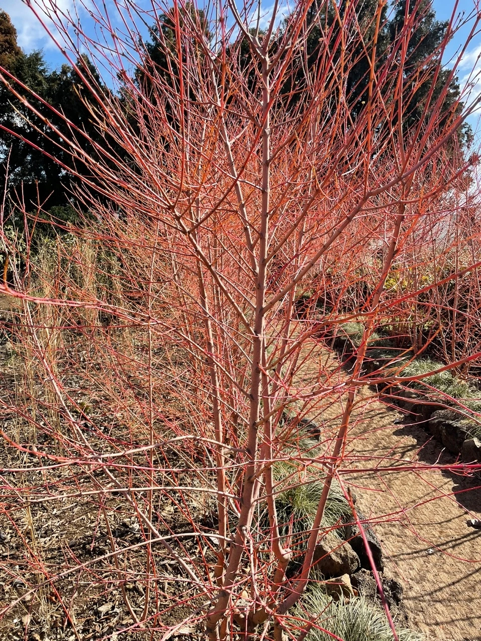 KakaoTalk_Photo_2022-02-07-14-31-31 020.jpeg