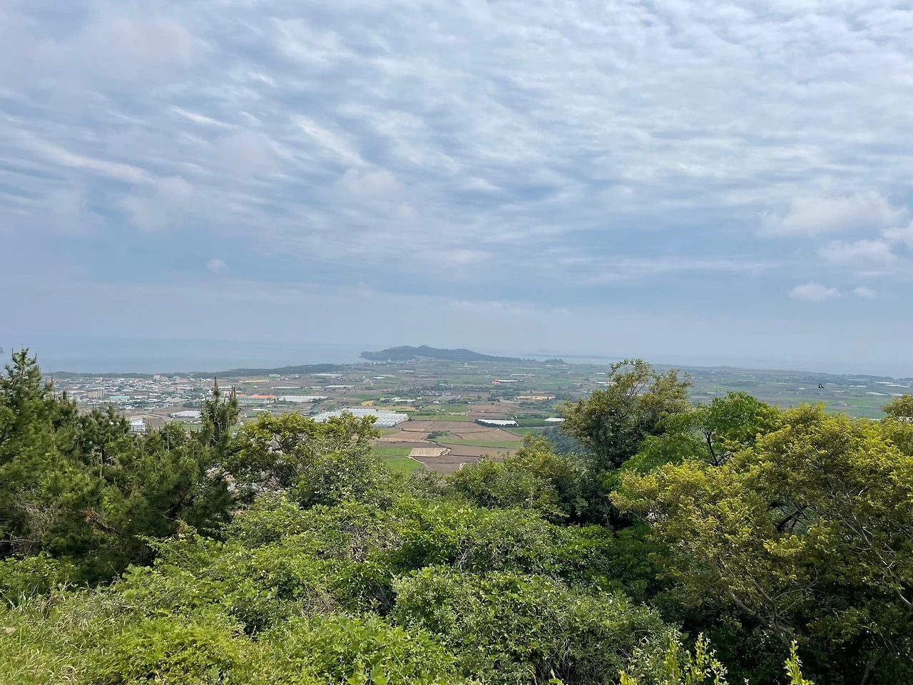 KakaoTalk_Photo_2022-05-30-08-47-13 013.jpeg