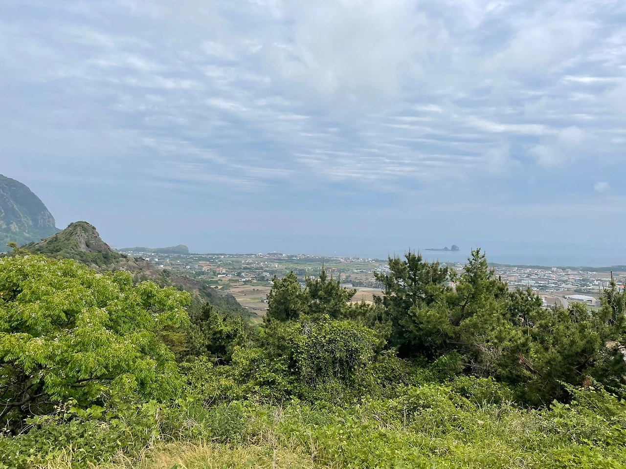 KakaoTalk_Photo_2022-05-30-08-47-10 012.jpeg