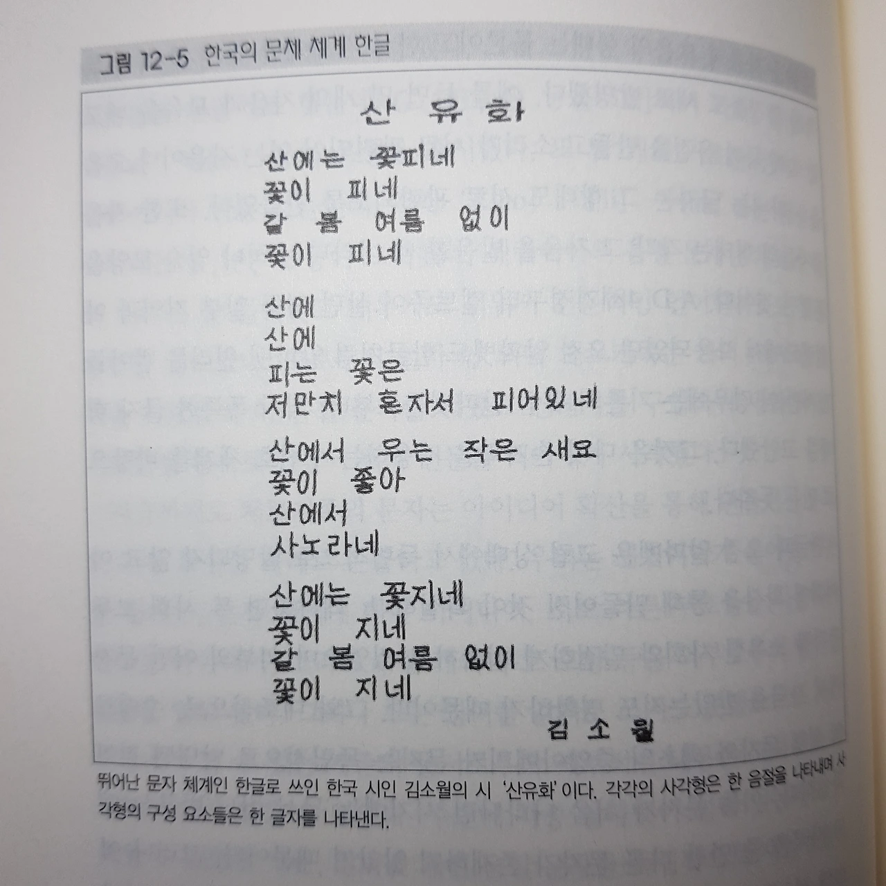 김소월 산유화.jpeg