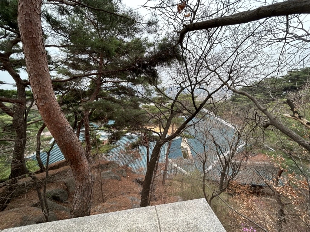 036 대통령관저 오운정뷰.jpeg