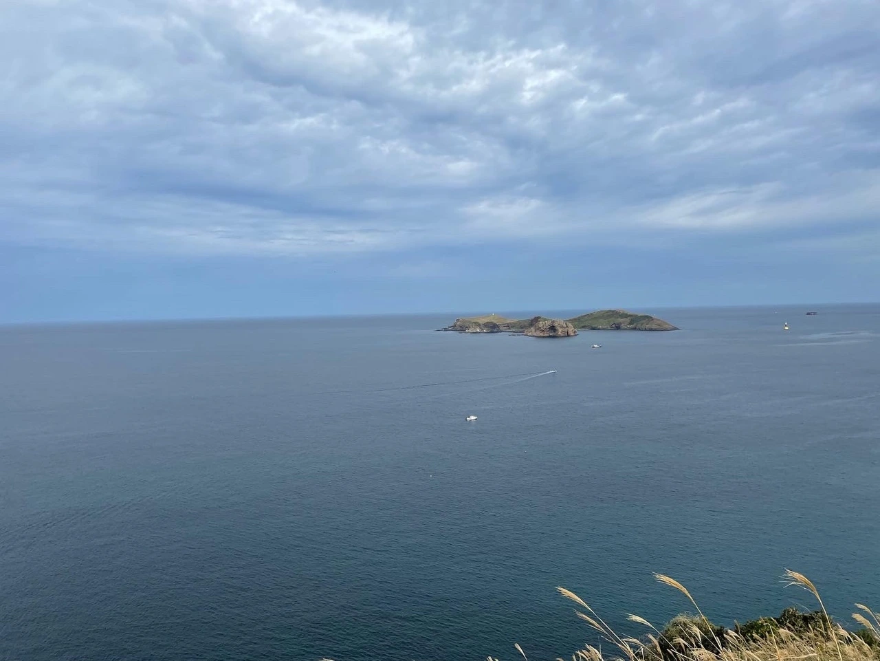 KakaoTalk_Photo_2021-11-01-08-33-38 002.jpeg