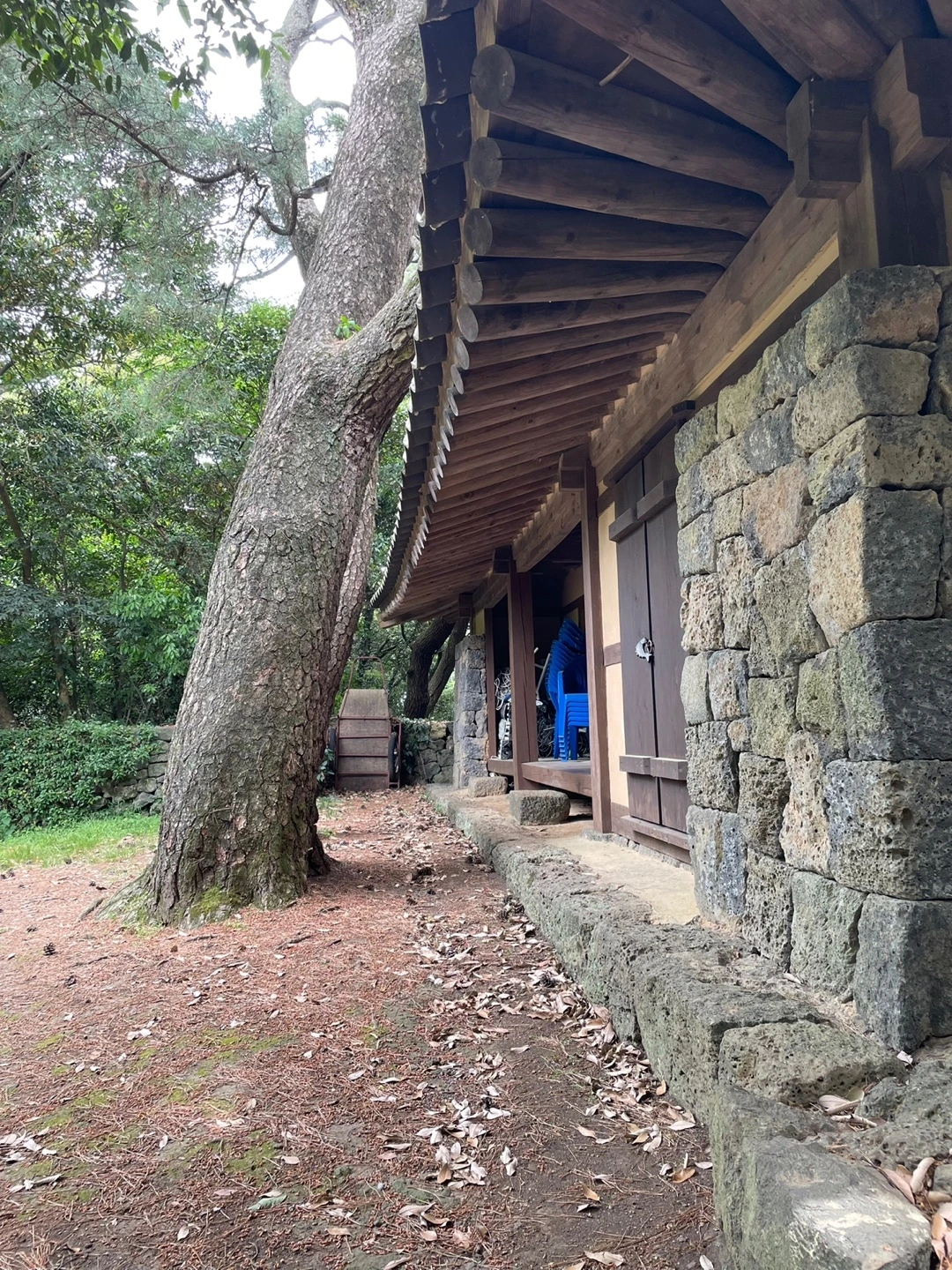 KakaoTalk_Photo_2022-05-30-08-50-17 027.jpeg