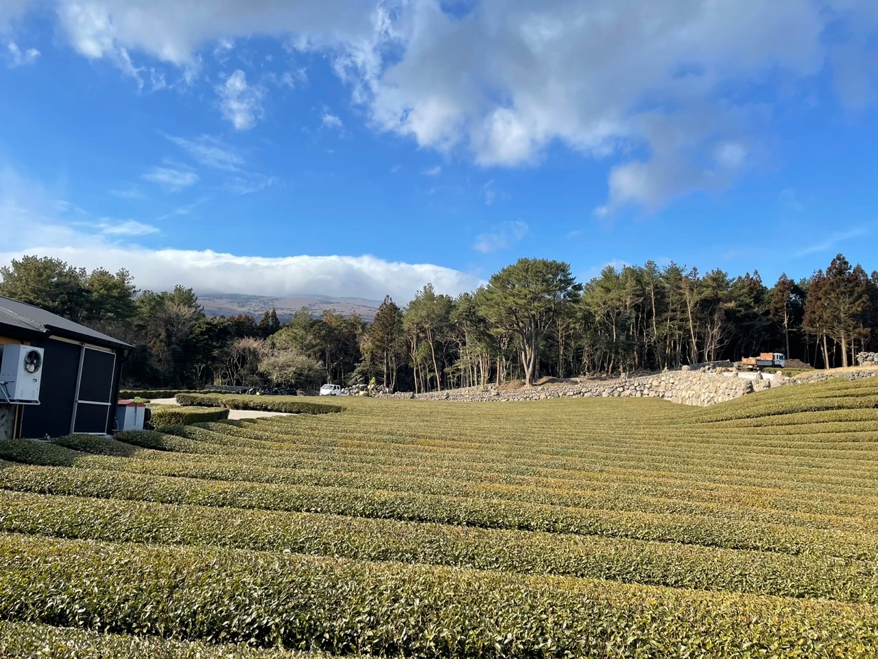 KakaoTalk_Photo_2022-02-07-13-32-52 018.jpeg