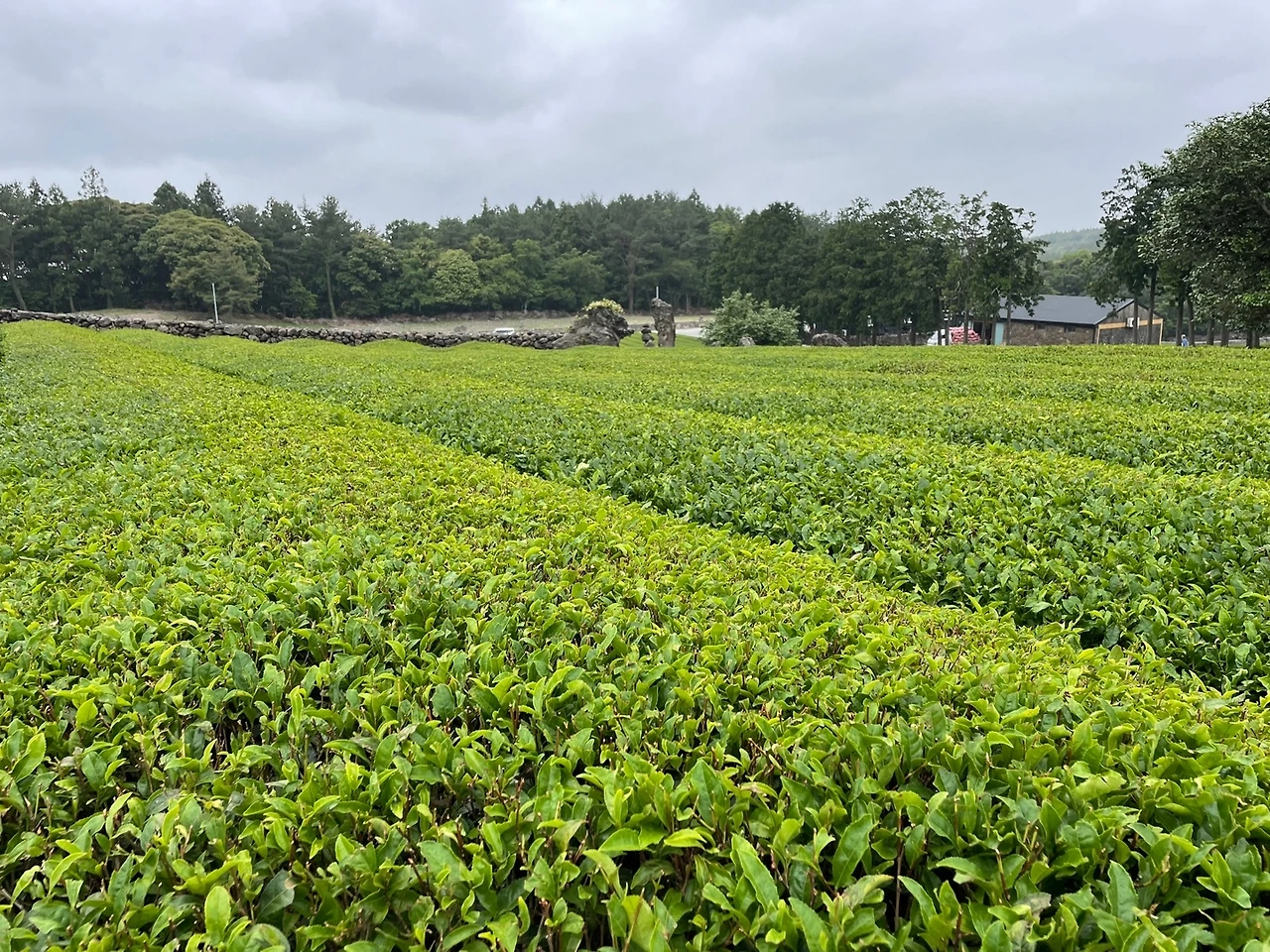 KakaoTalk_Photo_2022-05-30-08-47-53 011.jpeg