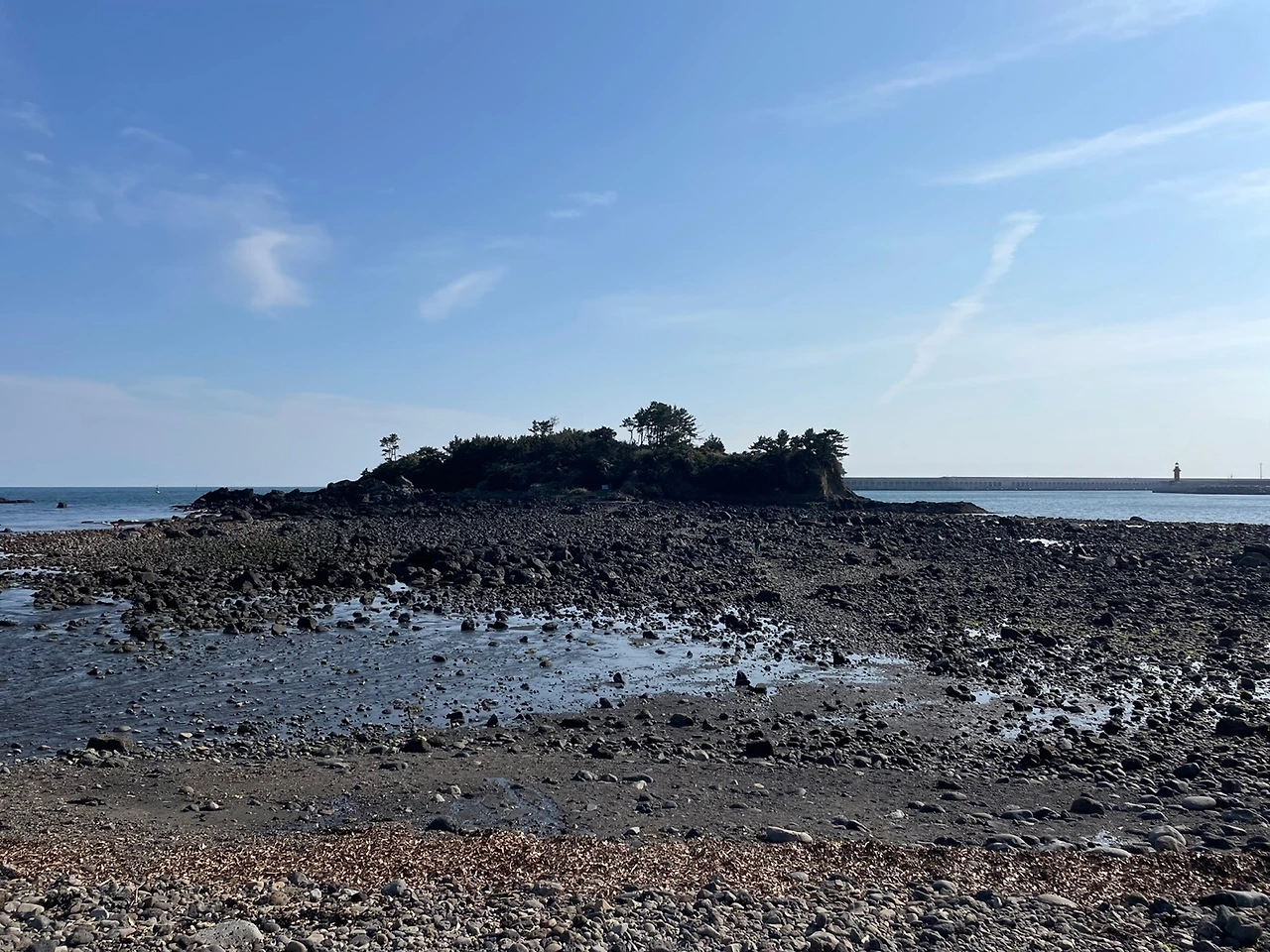 KakaoTalk_Photo_2022-04-06-08-20-48 005.jpeg