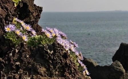 KakaoTalk_Photo_2021-11-01-08-32-57 006.jpeg