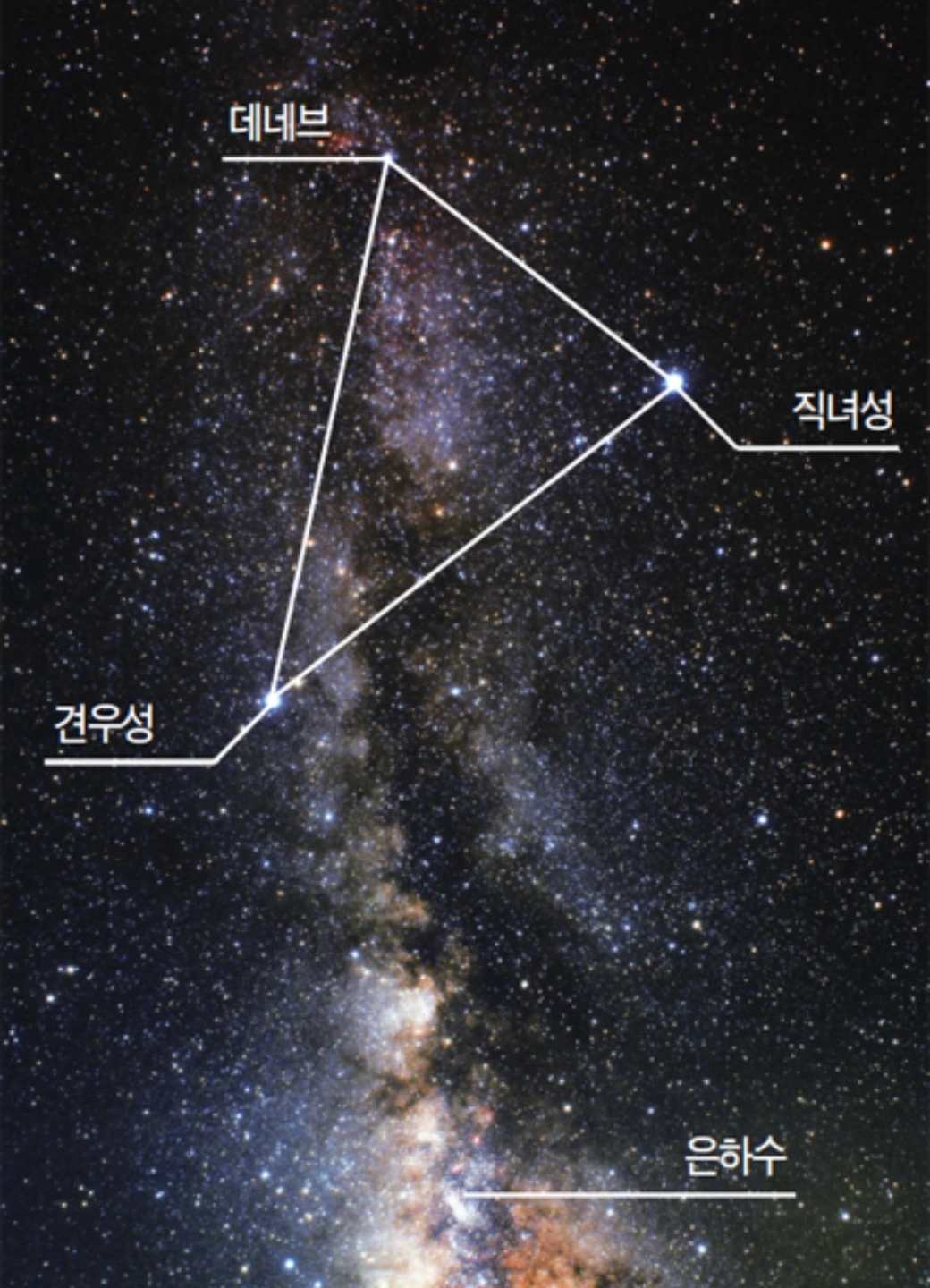 KakaoTalk_Photo_2022-08-04-08-00-20 004.jpeg