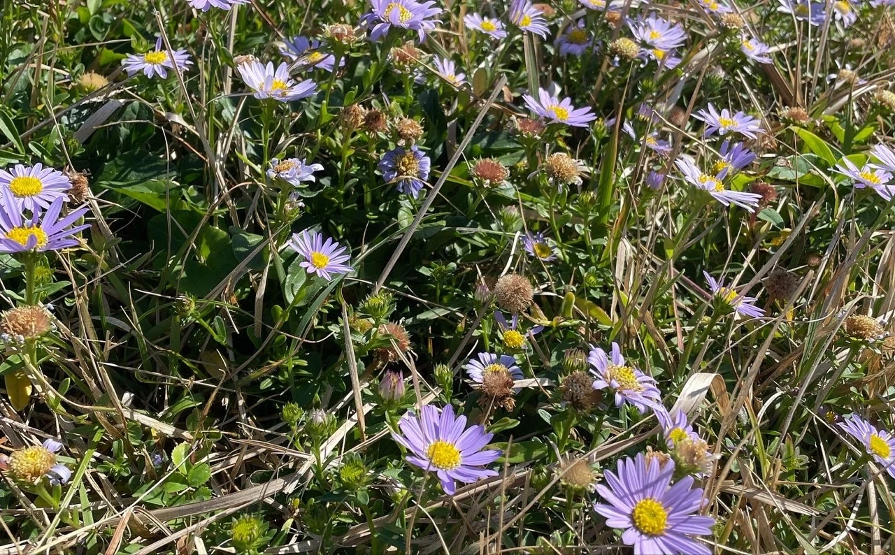 KakaoTalk_Photo_2021-11-01-08-32-56 002.jpeg