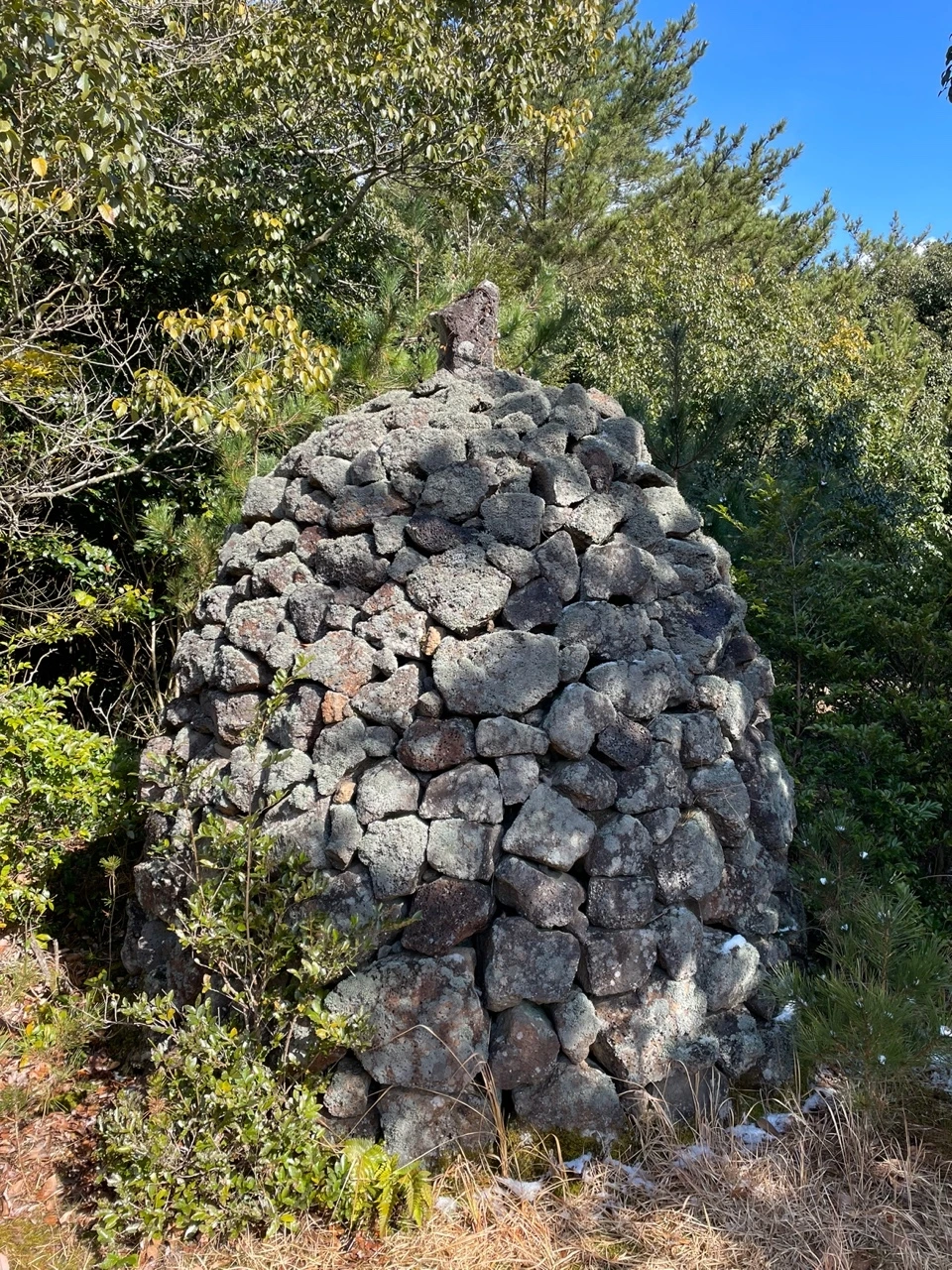 KakaoTalk_Photo_2022-02-07-13-32-50 015.jpeg