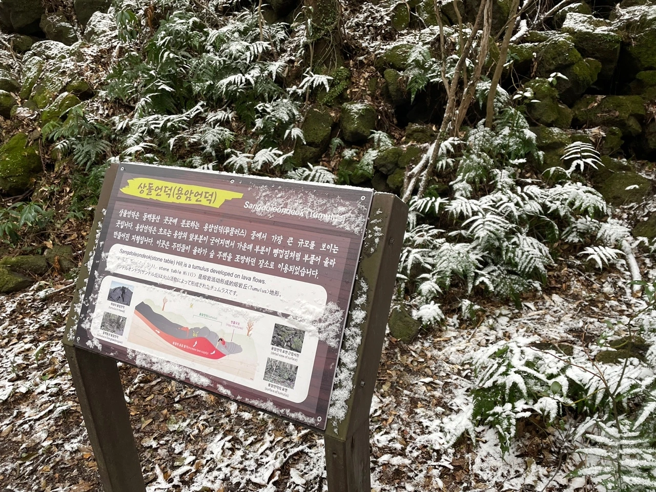 KakaoTalk_Photo_2022-02-07-13-32-47 009.jpeg