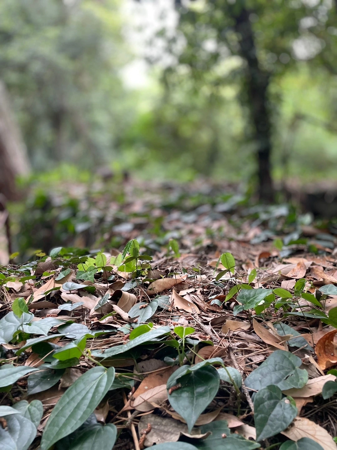 KakaoTalk_Photo_2022-05-30-08-50-25 030.jpeg