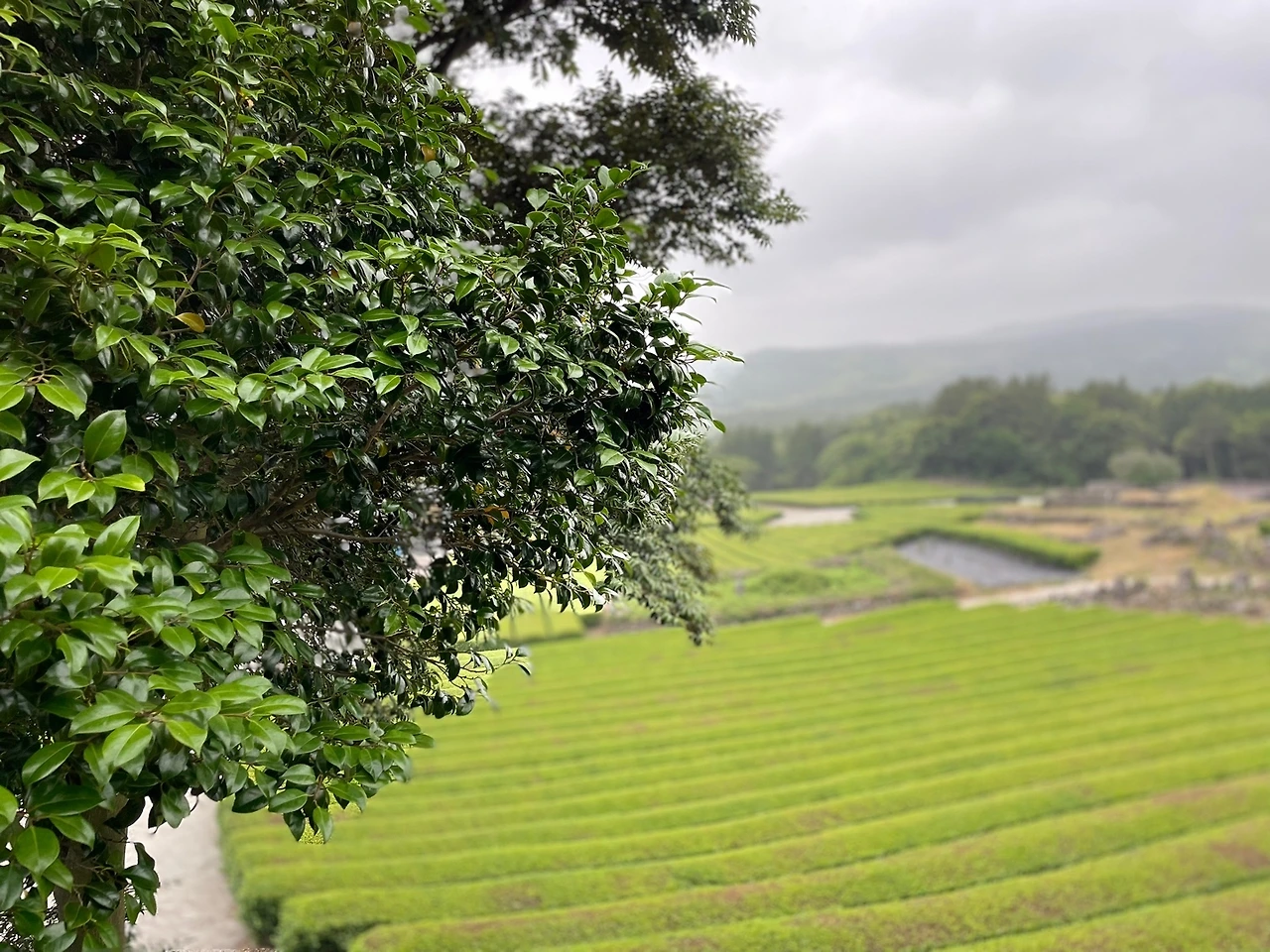 KakaoTalk_Photo_2022-05-30-08-46-43 009.jpeg