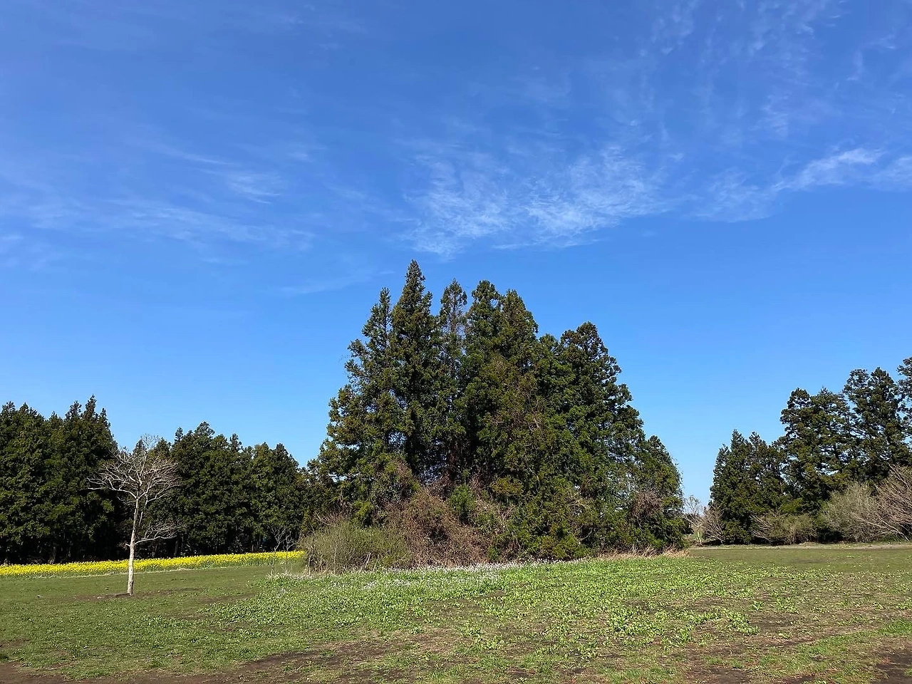 KakaoTalk_Photo_2022-04-06-08-21-12 017.jpeg