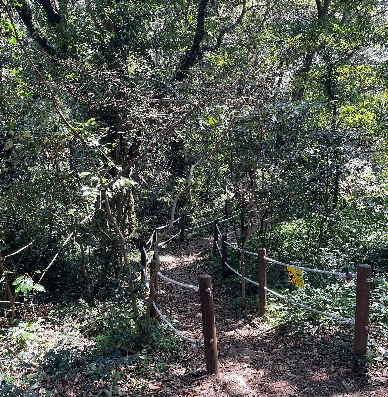 KakaoTalk_Photo_2022-04-06-08-20-10 003.jpeg