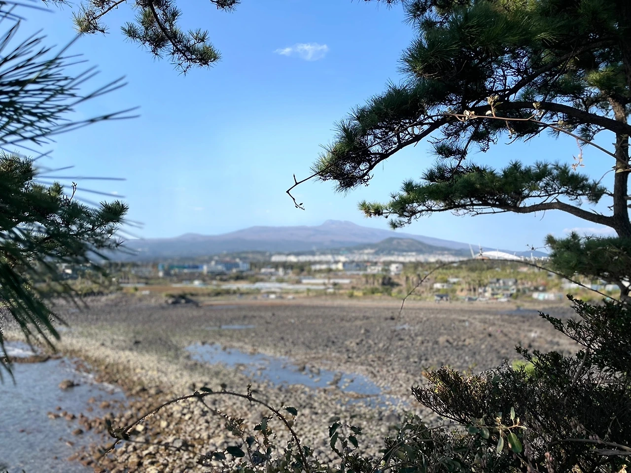 KakaoTalk_Photo_2022-04-06-08-20-48 006.jpeg