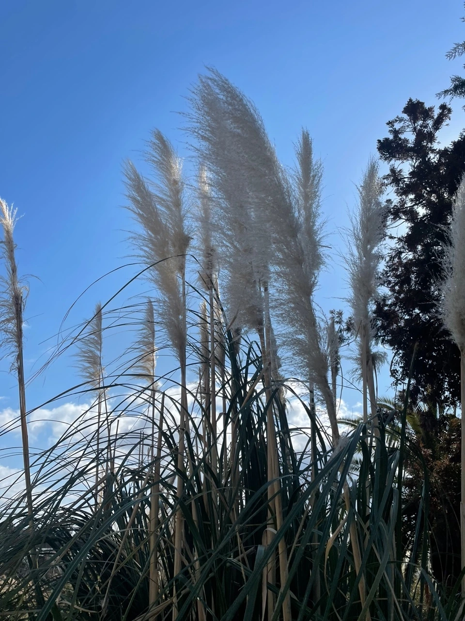 KakaoTalk_Photo_2022-02-07-14-31-32 021.jpeg