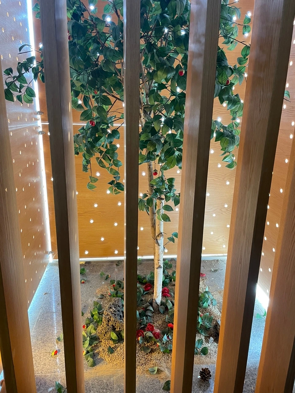 KakaoTalk_Photo_2022-02-07-14-31-33 025.jpeg