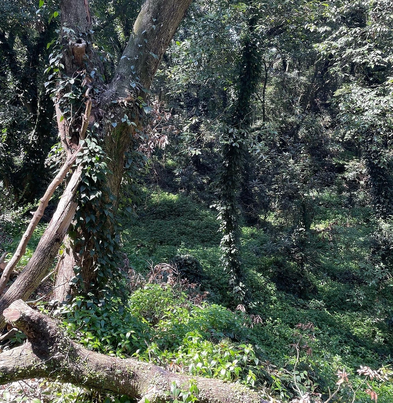 KakaoTalk_Photo_2022-04-06-08-20-09 002.jpeg