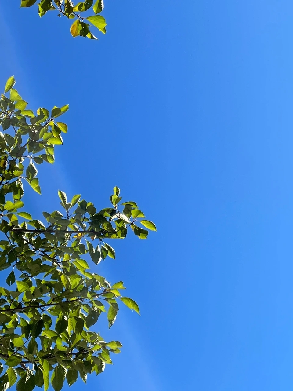 KakaoTalk_Photo_2021-09-18-10-13-38 001.jpeg