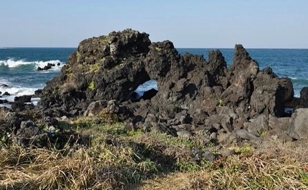 KakaoTalk_Photo_2021-11-01-08-32-58 007.jpeg