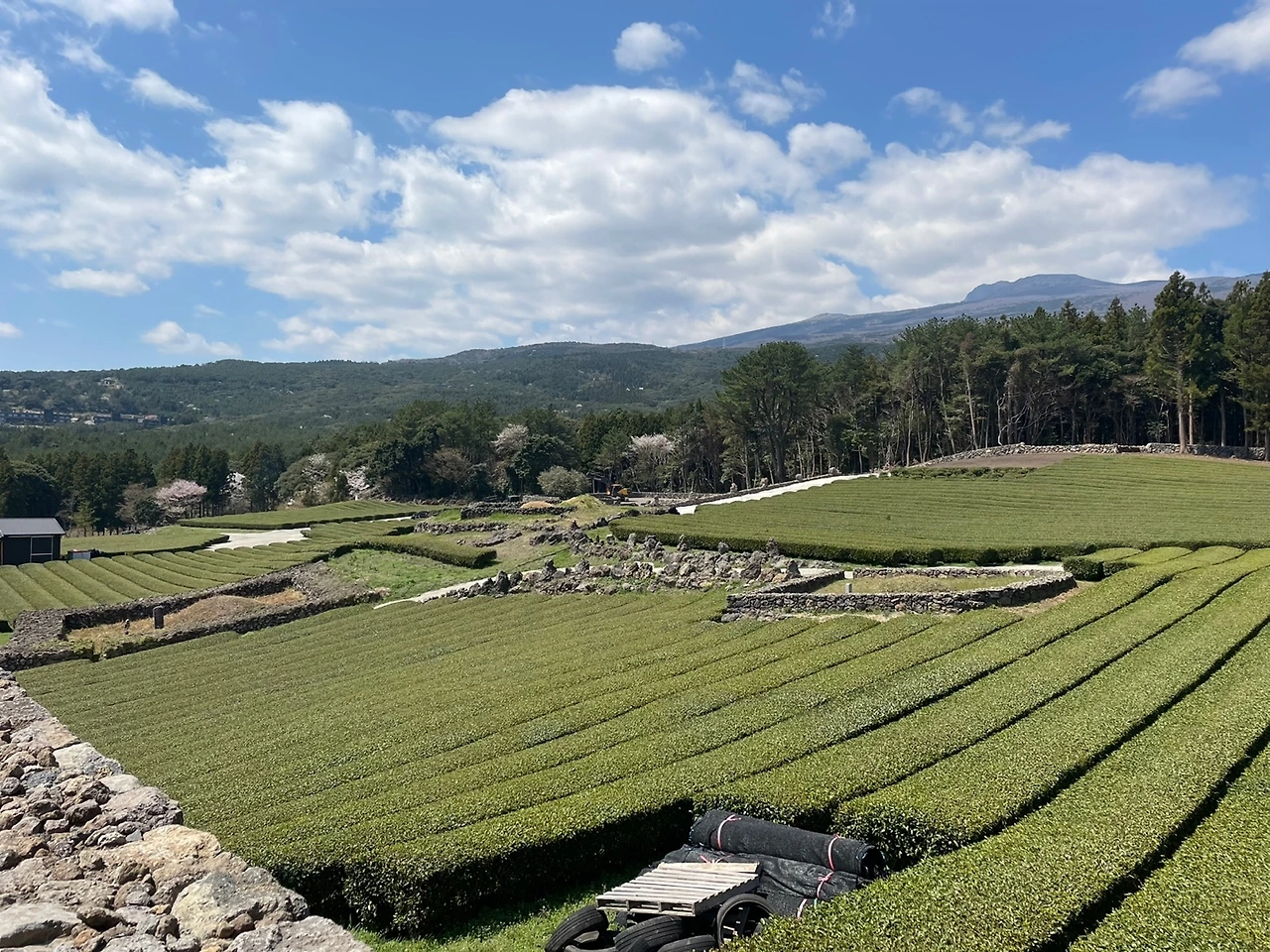 KakaoTalk_Photo_2022-04-06-08-21-16 027.jpeg